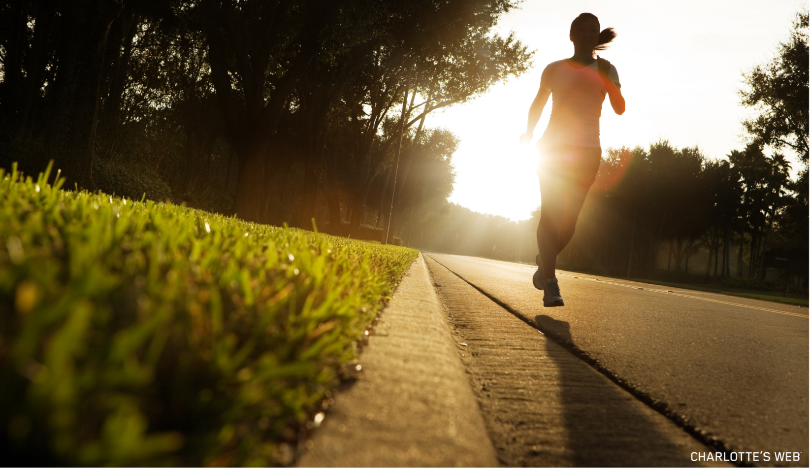 A woman jogs along a sunlit path lined with trees and grass, showcasing a vibrant early morning scene. 