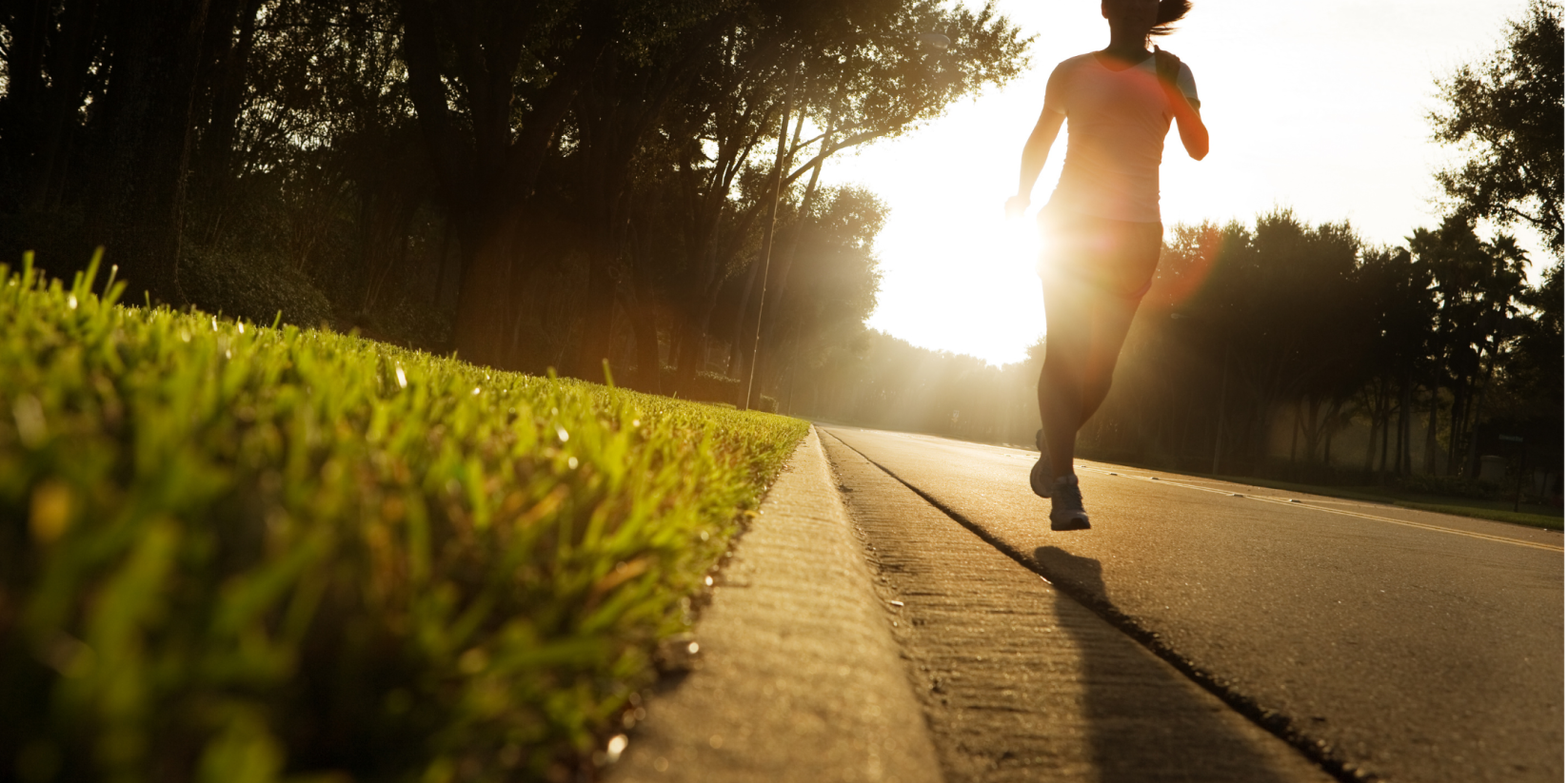 A woman jogs along a sunlit path lined with trees and grass, showcasing a vibrant early morning scene. 