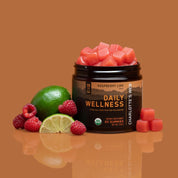 Daily Wellness Gummies 3-Pack