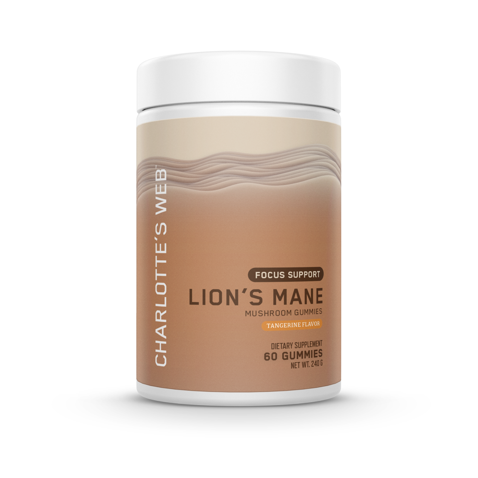 Focus Support with Lion's Mane Mushroom Gummy