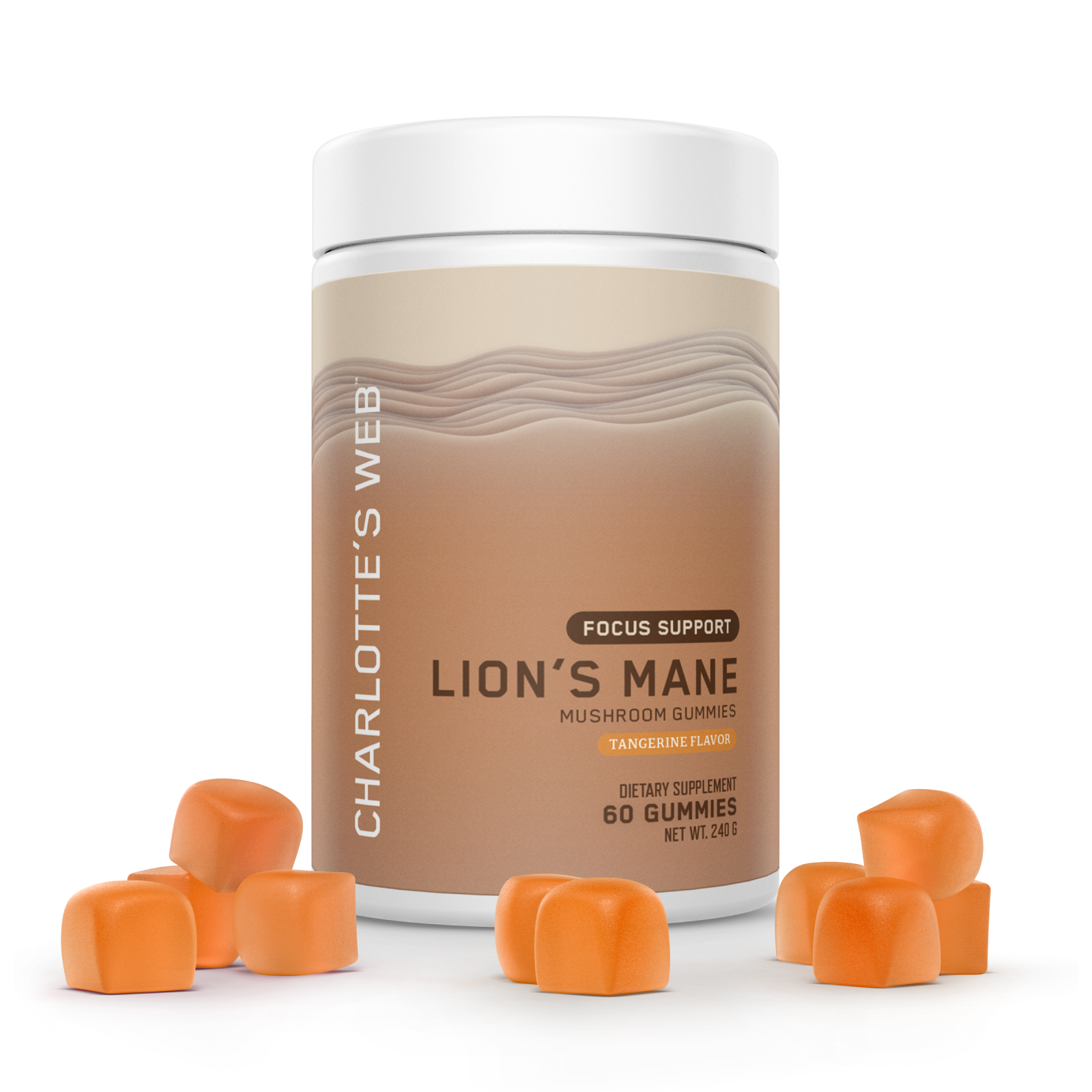 Focus Support with Lion's Mane Mushroom Gummy