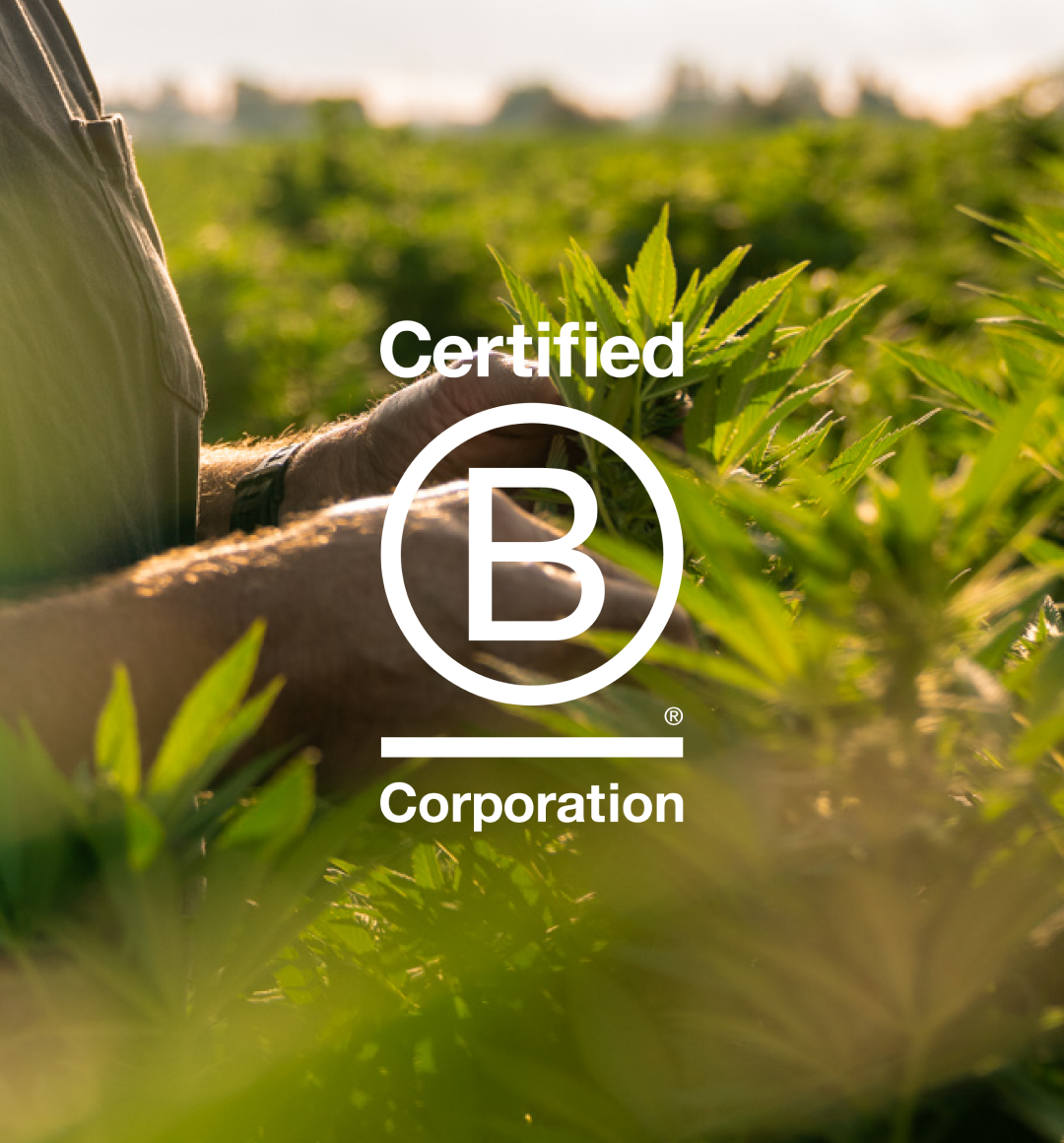 B-Corp Certified